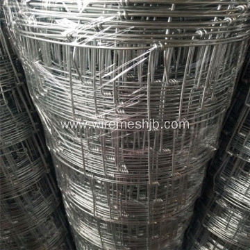 1.6M*50M Galvanized Steel Wire Kraal Network